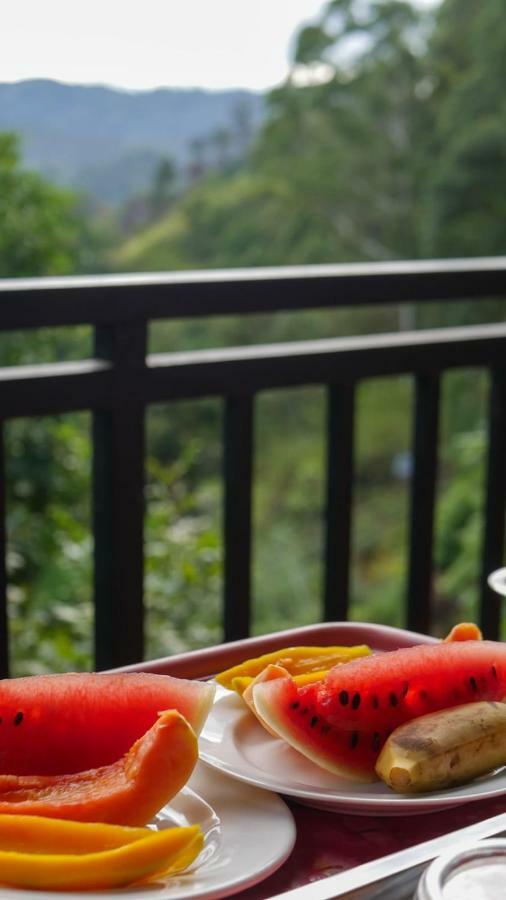 Serene Homestay Procida Dış mekan fotoğraf